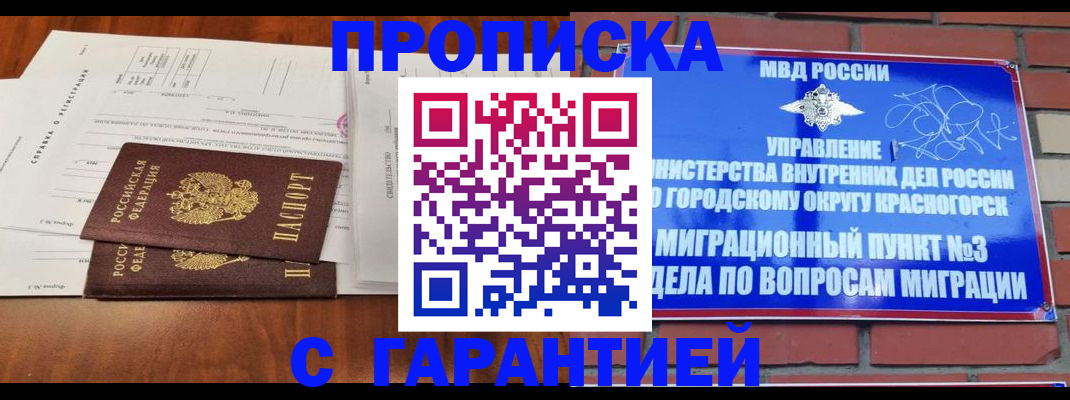 найти адрес прописки в Новодвинске